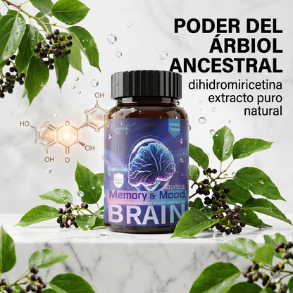 Memory Mood Brain – Suplemento Nootropico para Memoria, Foco y Bienestar Mental