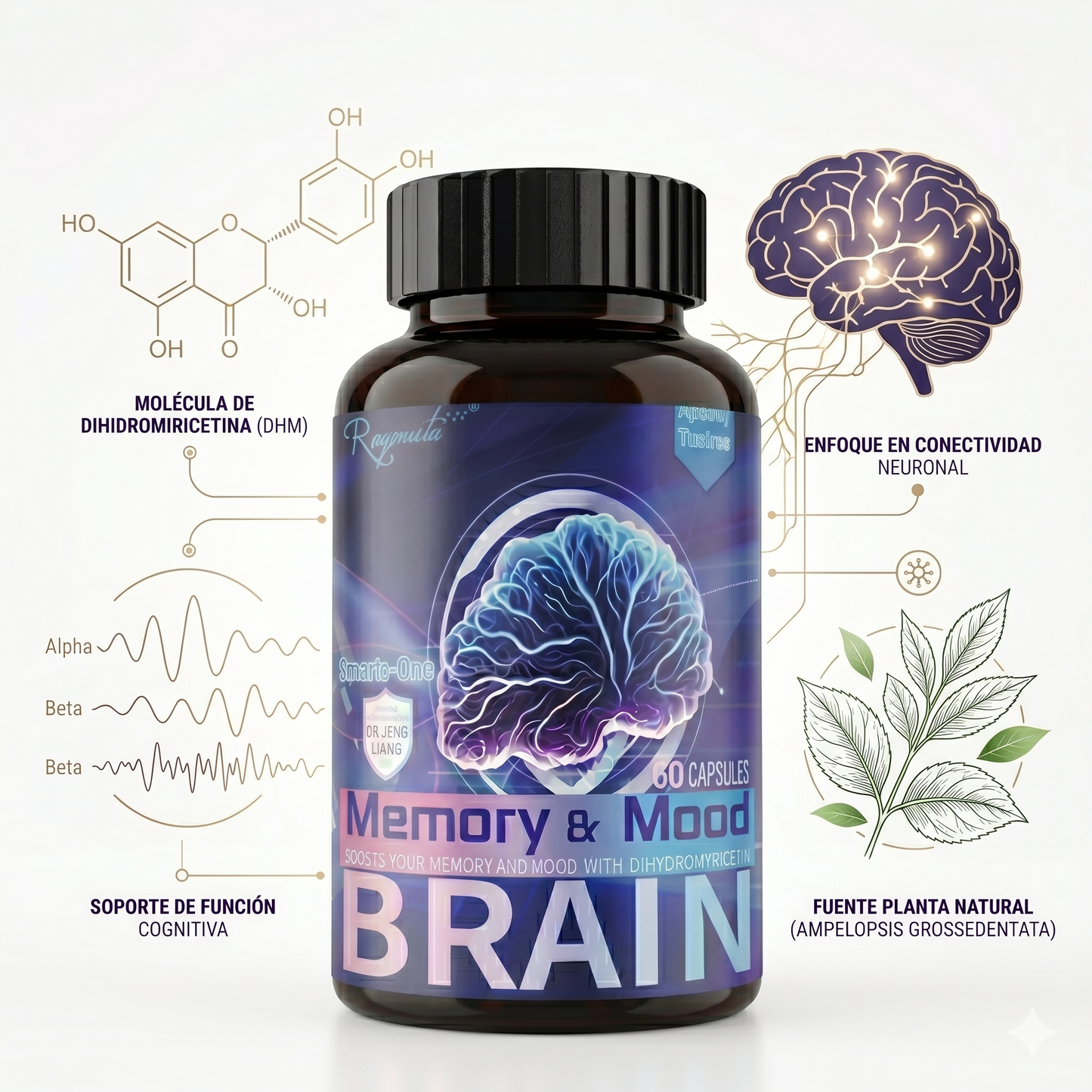 Memory Mood Brain – Suplemento Nootropico para Memoria, Foco y Bienestar Mental